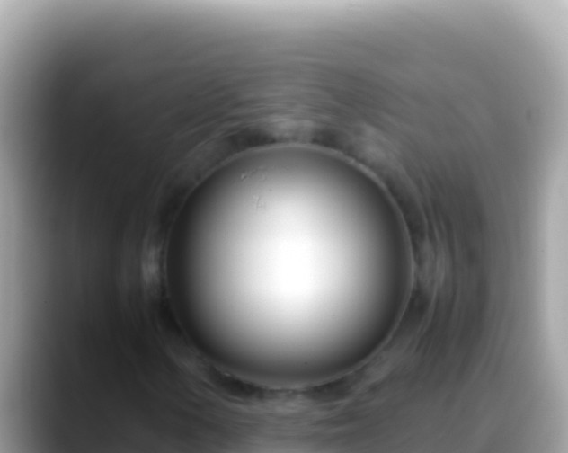 X0000088661154200706011234