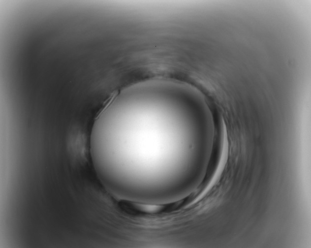 X0000088661156200706011234