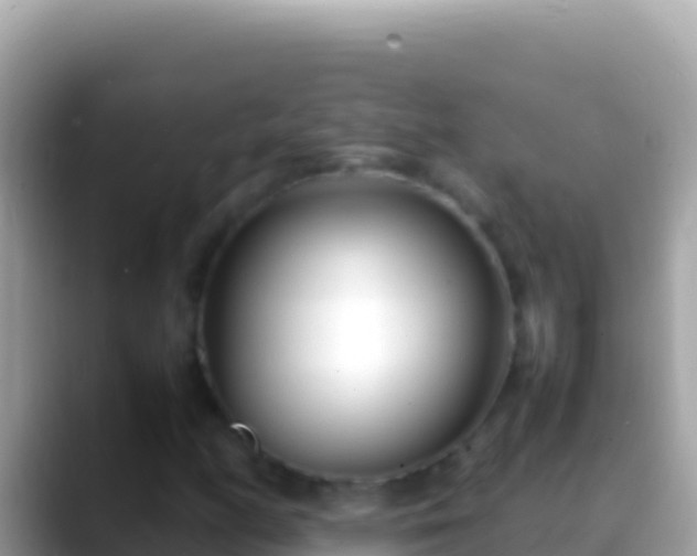 X0000088661158200706011234