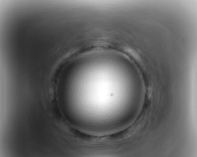 X0000088661159200706011234