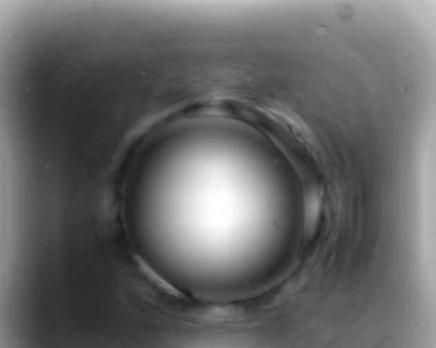 X0000088661160200706011234