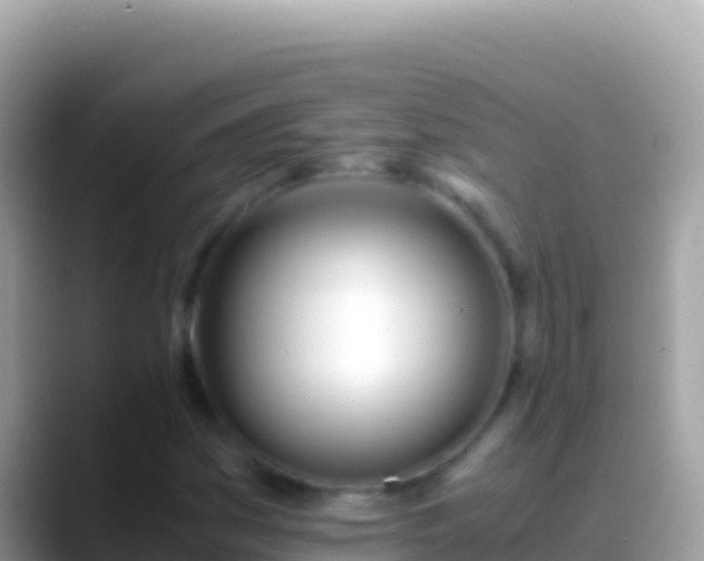 X0000088661161200706011234