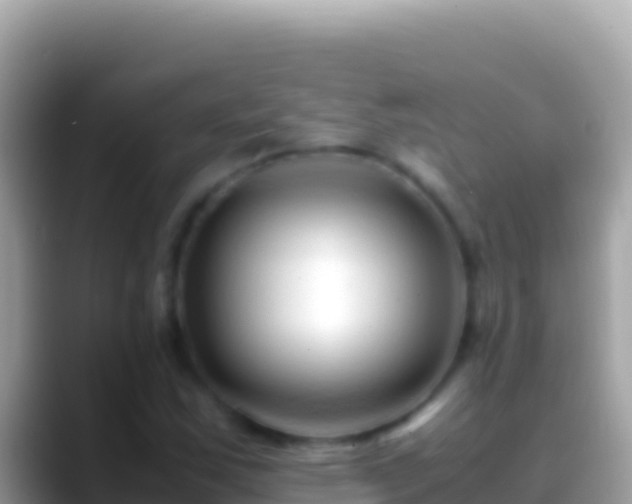 X0000088661163200706011234