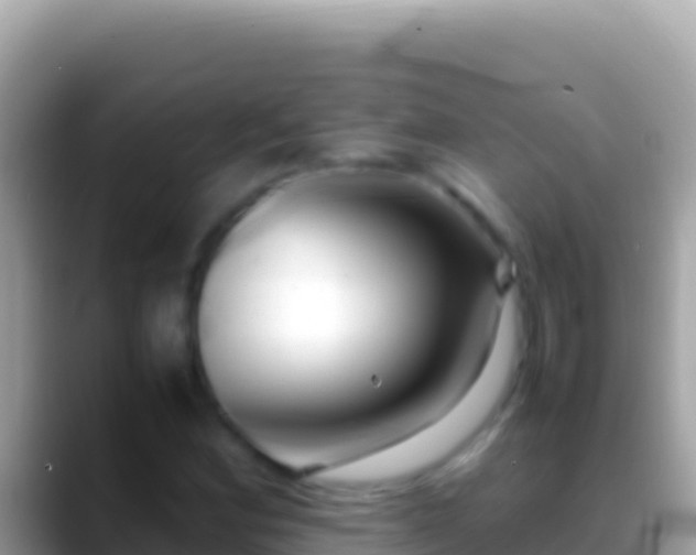 X0000088661164200706011234