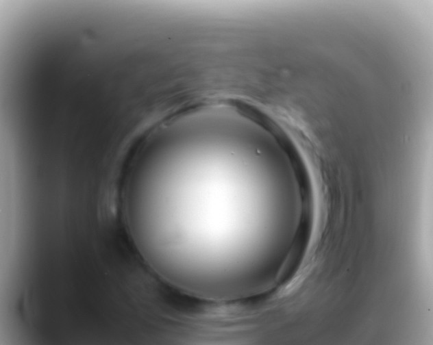 X0000088661165200706011234