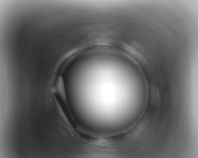 X0000088661166200706011234