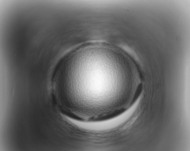 X0000088661167200706011234