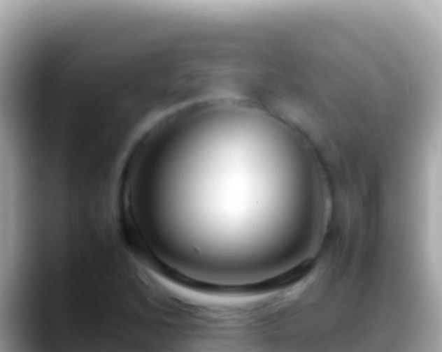 X0000088661168200706011234