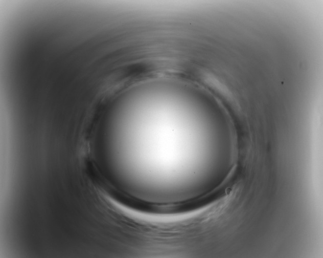 X0000088661169200706011234