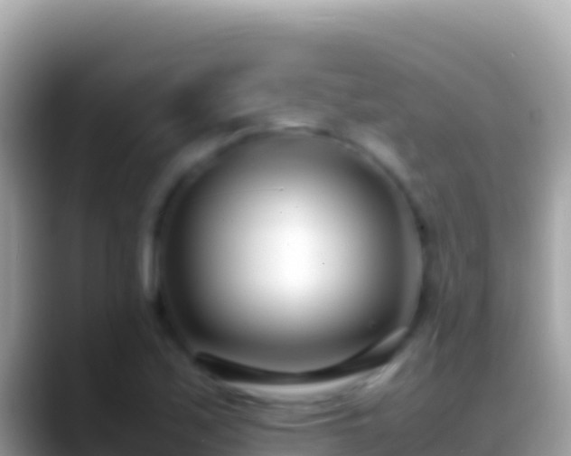 X0000088661171200706011234