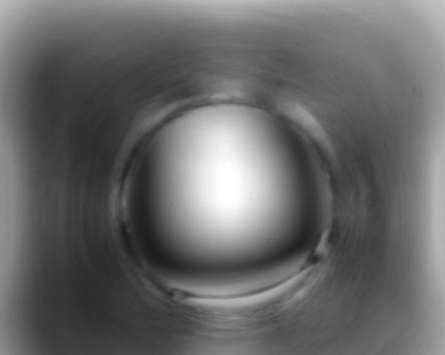 X0000088661172200706011234