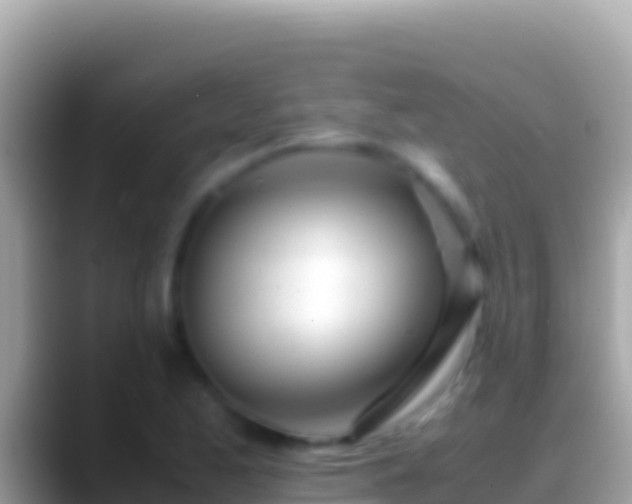 X0000088661173200706011234