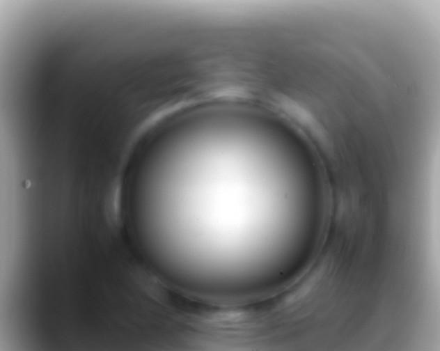 X0000088661174200706011234