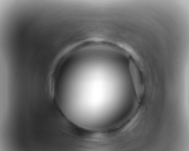 X0000088661175200706011234