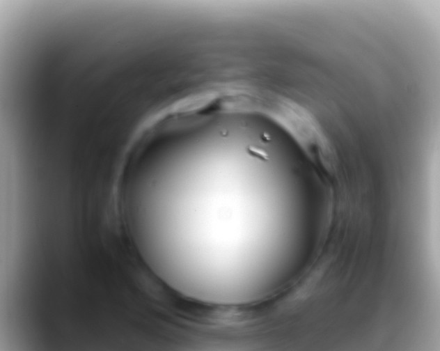 X0000088661176200706011234