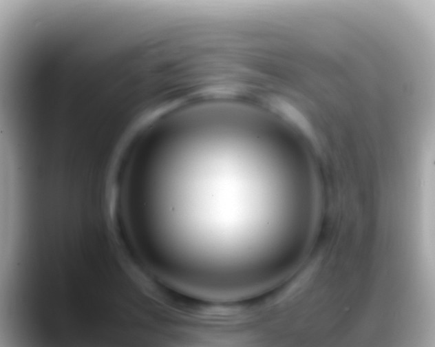 X0000088661179200706011234