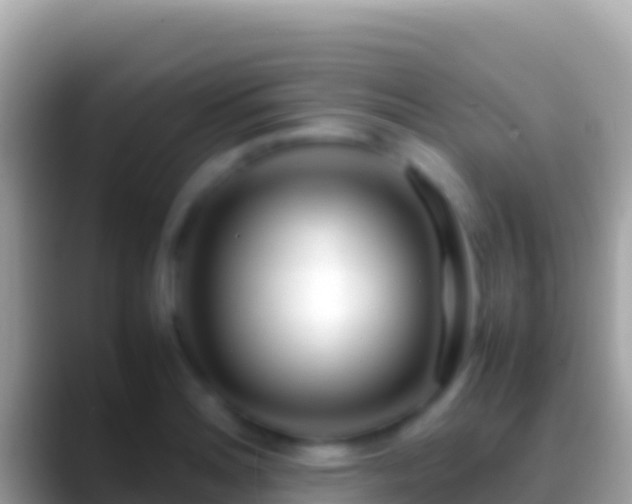 X0000088661180200706011234