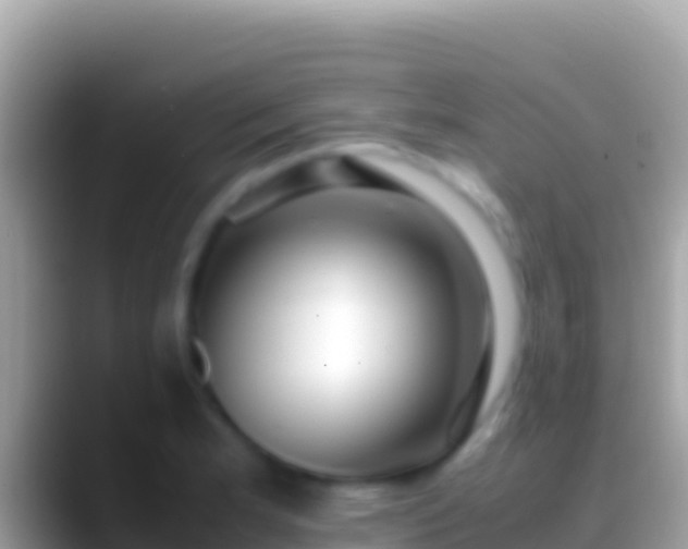 X0000088661181200706011234