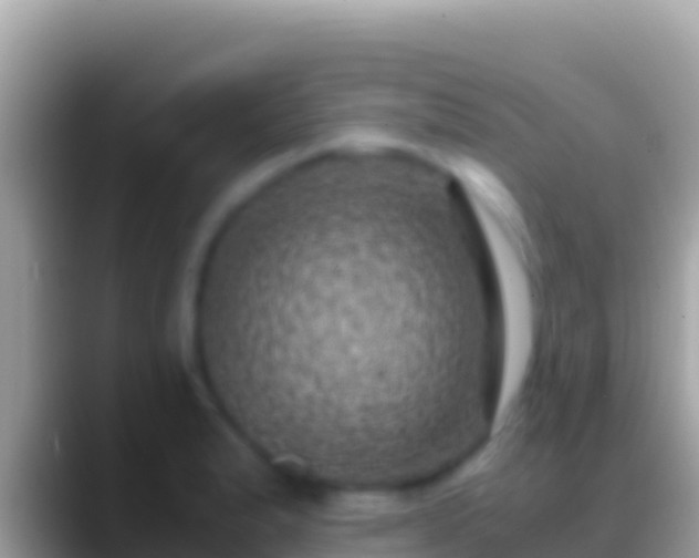 X0000088661183200706011234