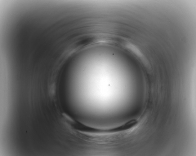 X0000088661185200706011234