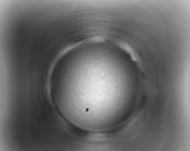 X0000088661187200706011234