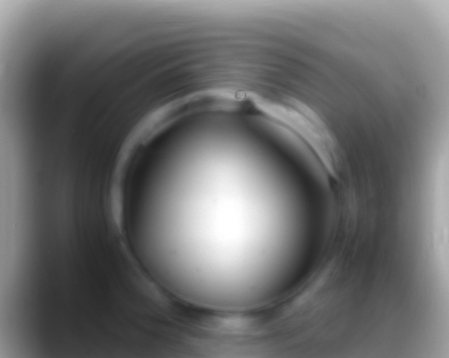 X0000088661188200706011234