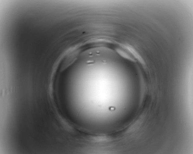 X0000088661189200706011234