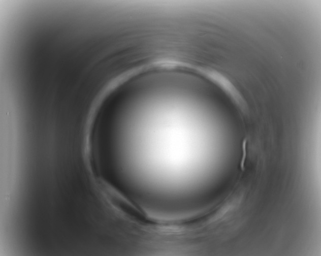 X0000088661191200706011234