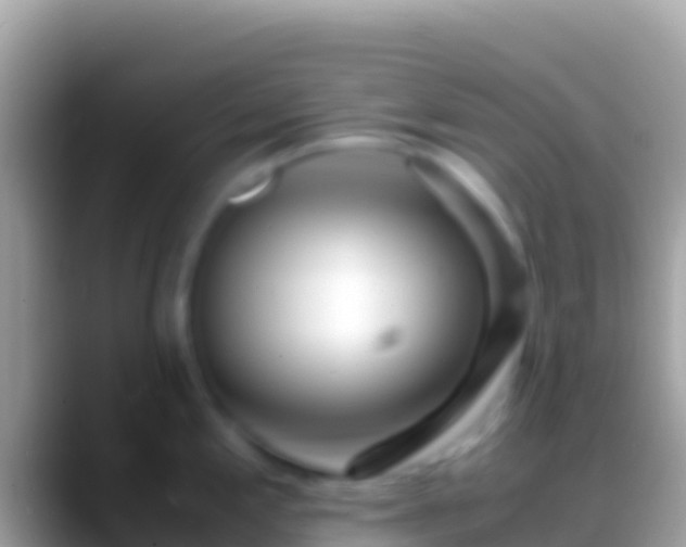 X0000088661197200706011234