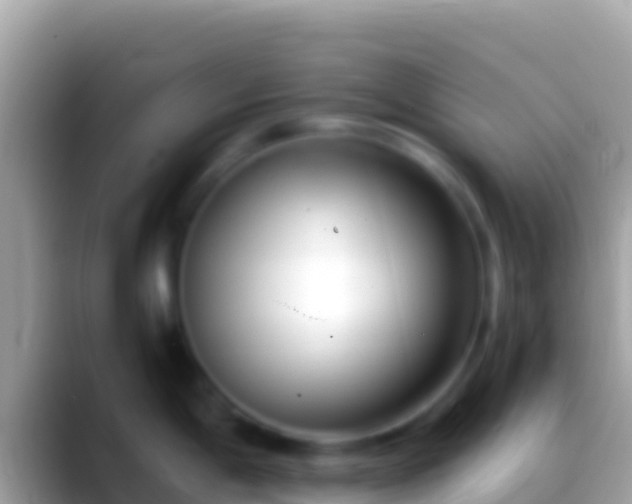 X0000088661198200706011234