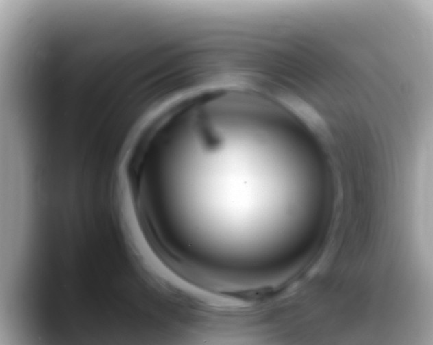 X0000088661200200706011234