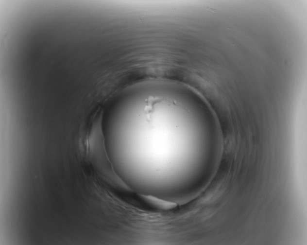 X0000088661202200706011233