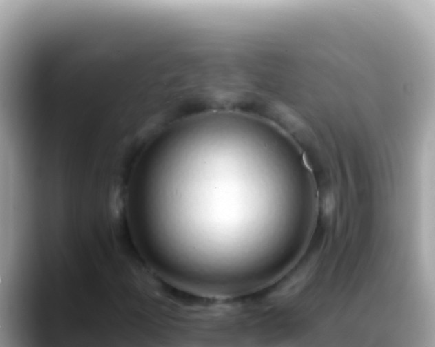 X0000088661204200706011233