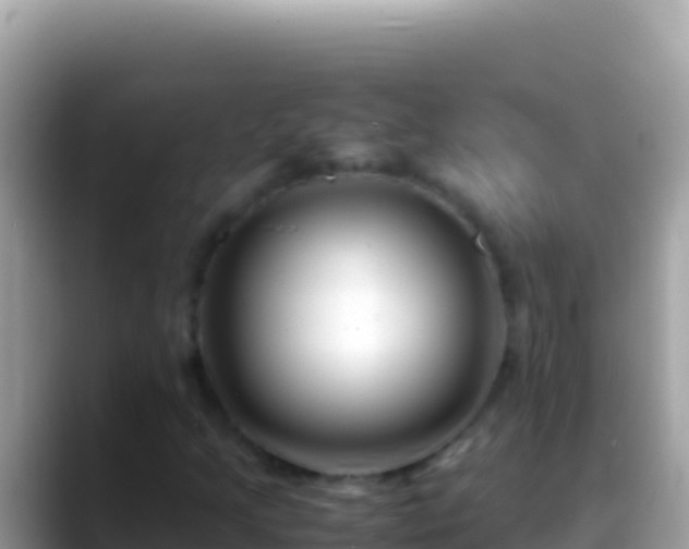 X0000088661205200706011233