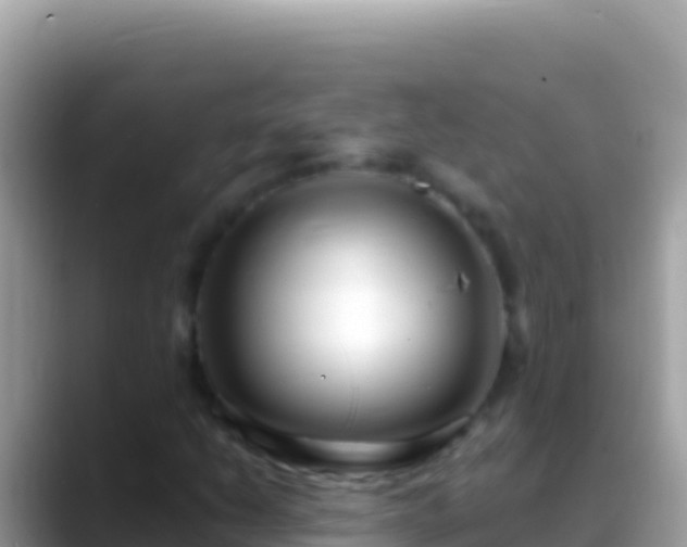 X0000088661206200706011233