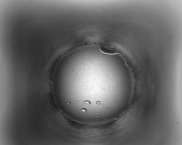 X0000088661207200706011233