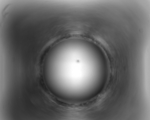 X0000088661208200706011233