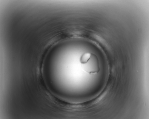 X0000088661209200706011233