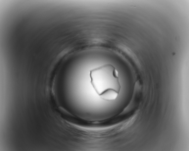 X0000088661210200706011233