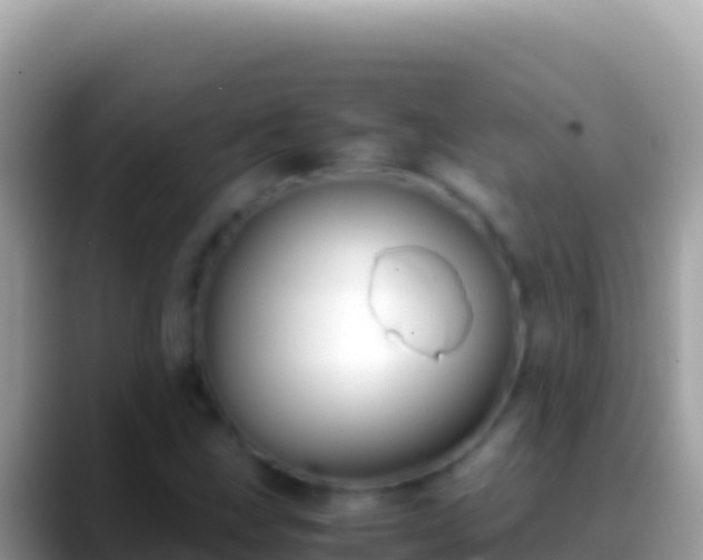 X0000088661211200706011233