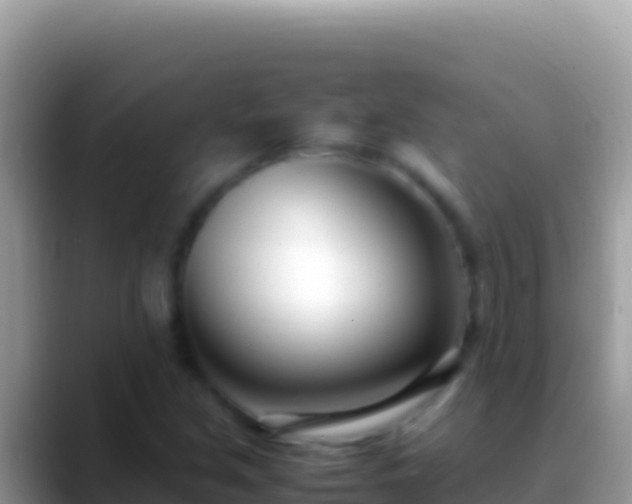 X0000088661213200706011233