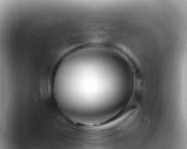 X0000088661214200706011233