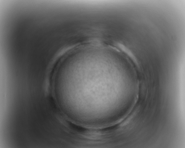 X0000088661215200706011233