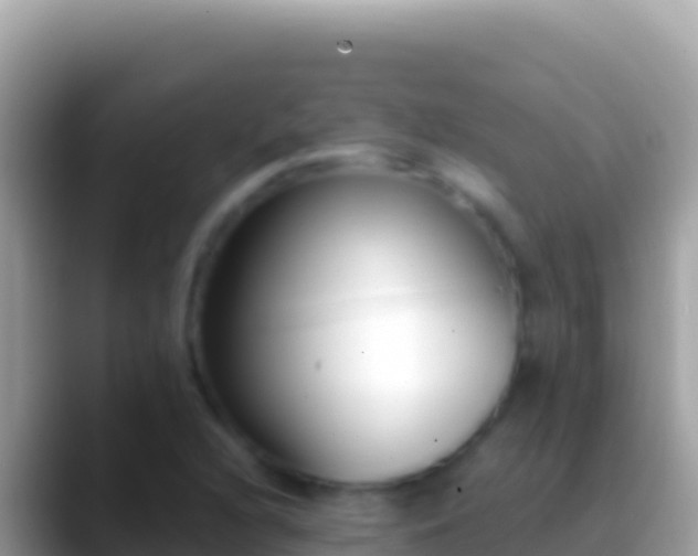 X0000088661216200706011233