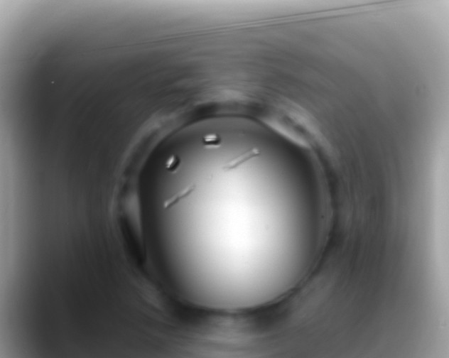 X0000088661218200706011233