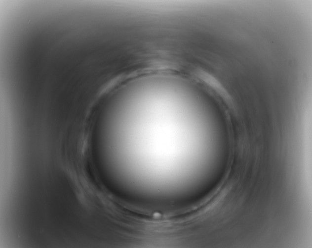 X0000088661220200706011234