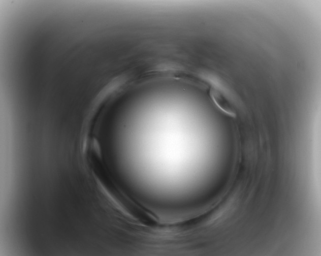 X0000088661221200706011234