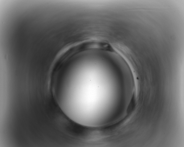 X0000088661222200706011234