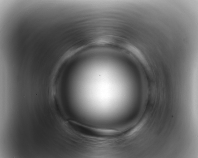 X0000088661226200706011234