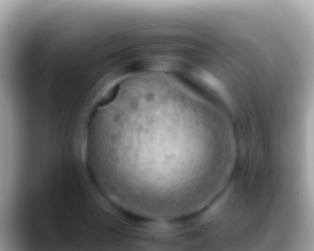 X0000088661227200706011234